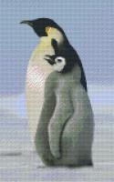 Kit 8 Plaques Pingouins